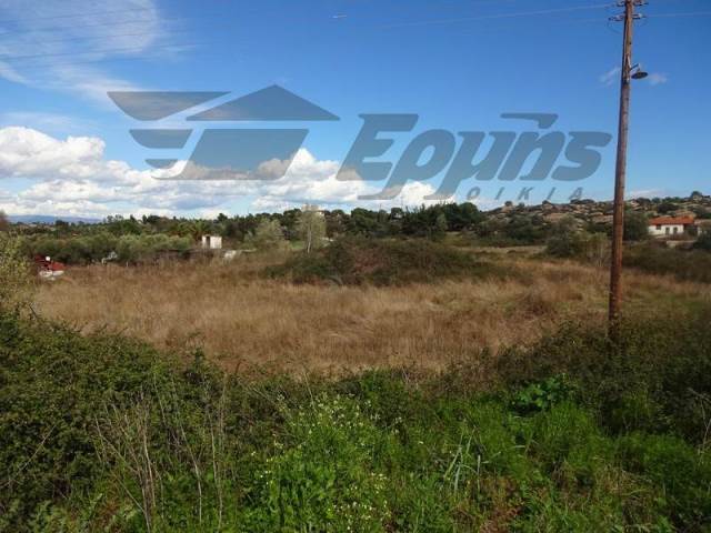(For Sale) Land Agricultural Land  || Chalkidiki/Sithonia - 3.500Sq.m, 350.000€ 