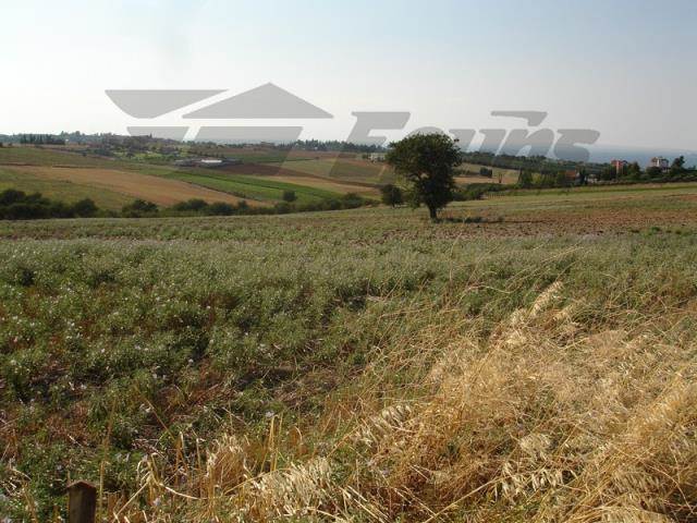 (For Sale) Land Agricultural Land  || Thessaloniki Suburbs/Mikra - 22.000 Sq.m, 1.000.000€ 