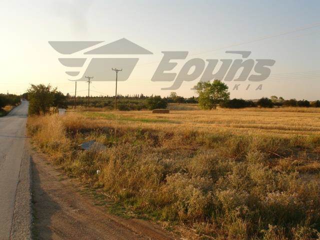 (For Sale) Land Agricultural Land  || Thessaloniki Suburbs/Epanomi - 8.500 Sq.m, 120.000€ 