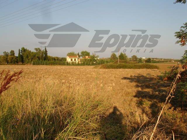 (For Sale) Land Agricultural Land  || Thessaloniki Suburbs/Epanomi - 11.022 Sq.m, 270.000€ 