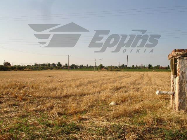 (For Sale) Land Agricultural Land  || Thessaloniki Suburbs/Epanomi - 9.334 Sq.m, 150.000€ 