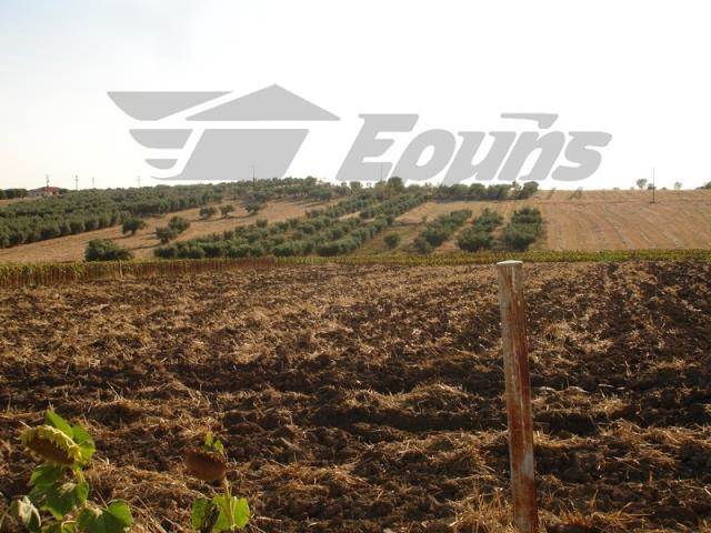 (For Sale) Land Agricultural Land  || Thessaloniki Suburbs/Epanomi - 6.445 Sq.m, 50.000€ 