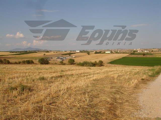 (For Sale) Land Agricultural Land  || Thessaloniki Suburbs/Epanomi - 10.662 Sq.m, 120.000€ 