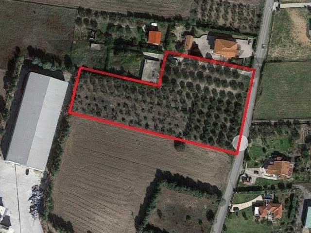 (For Sale) Land Agricultural Land  || Thessaloniki Suburbs/Epanomi - 4.200 Sq.m, 80.000€ 